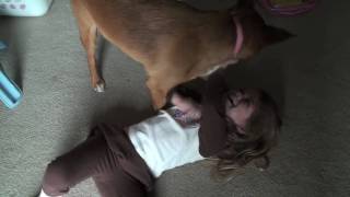 Dog Tickles Girl