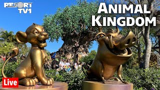 Live: A Wild Time at Disney's Animal Kingdom  Walt Disney World Live Stream  8522