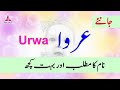 Urwa Name Meaning in Urdu