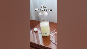 Thumbnail of Easy DIY CO2 for planted tank aquarium - One Bottle Method #aquarium #plantedtank #betta