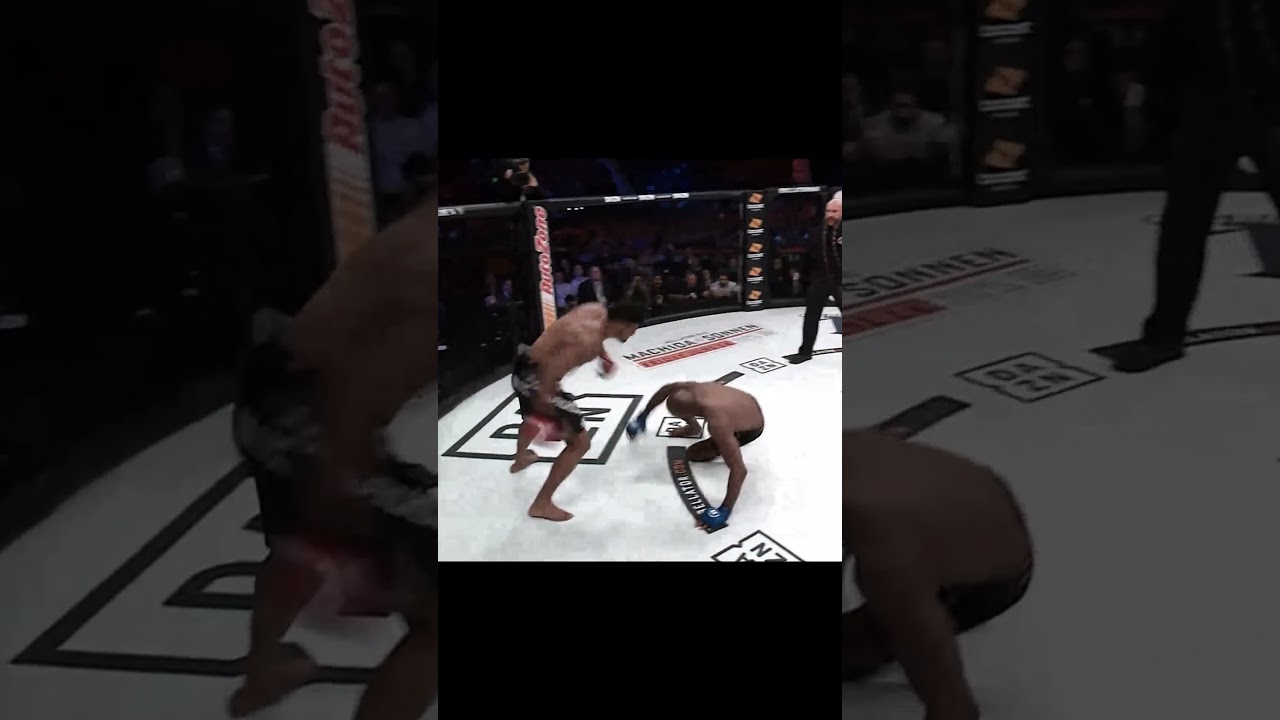 MVP gets worst knockout in an MMA fight