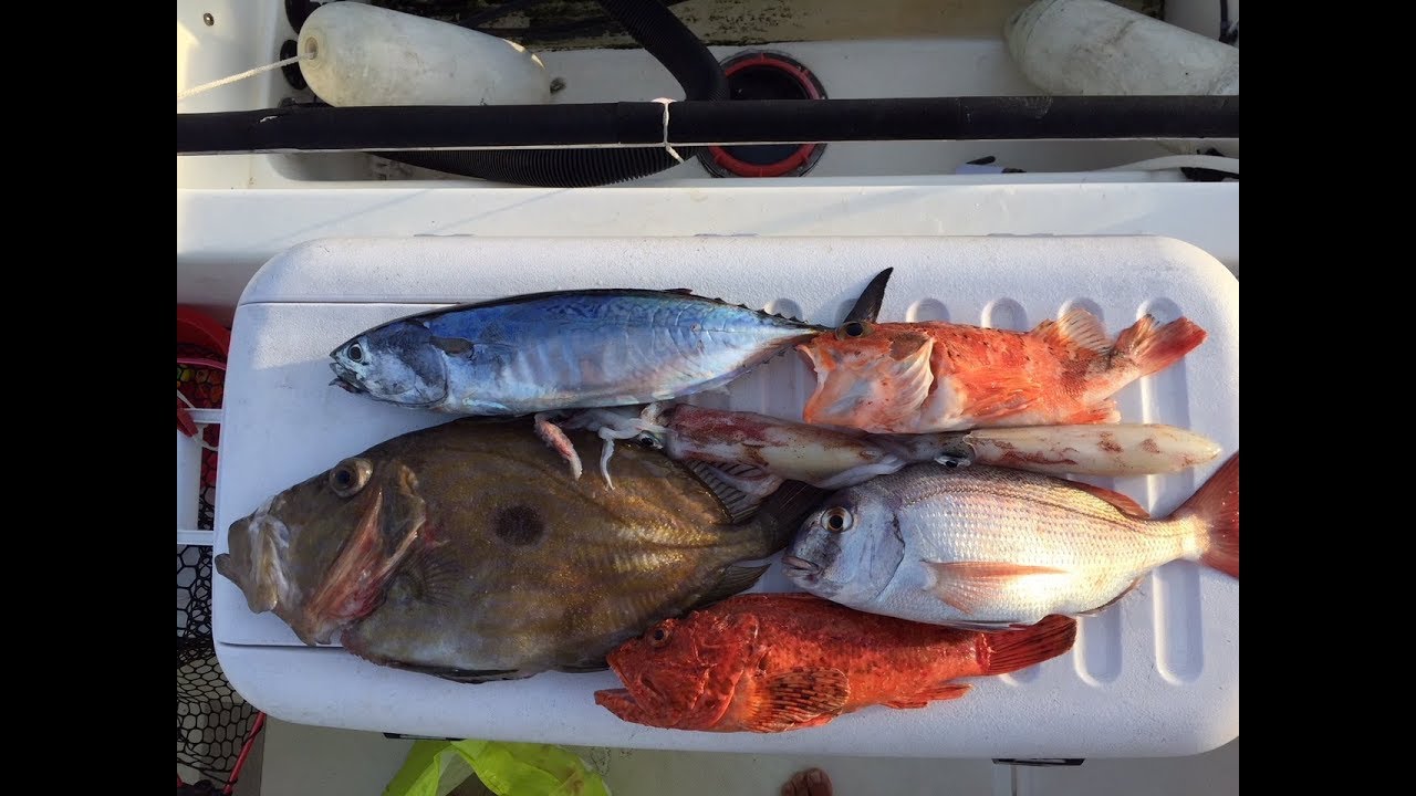 Tuto pêche en dérive, chapon, saint pierre, pagre, ....