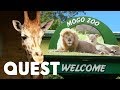 Transporting A 15 Month Old Giraffe To His New Home | Outback Truckers