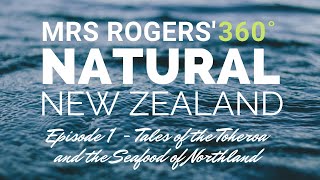 VR 360˚ Mrs Rogers&#39; Natural New Zealand - Tales of the Toheroa and the Seafood of Northland (Ep 1)