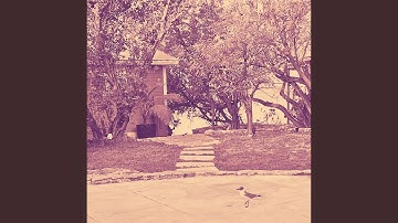 Simplistic Music for Irie Vibes