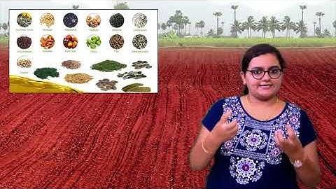 Online Classes | Class 4 | Social Studies | Lesson 9 Soils of India | Part 1 | Term 2