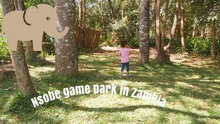 Arianna At Nsobe Game Park In Zambia Beautiful Zambia