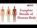 Complete details of human body  dharuvu tv 