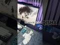 Qisha from @wlmouse Beautiful Art and give precise aim#mousepad #gamingsetup #pcsetup #gaminggear