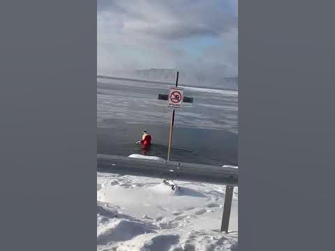 Моржи Байкал
