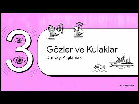İnsansız Deniz Sistemleri