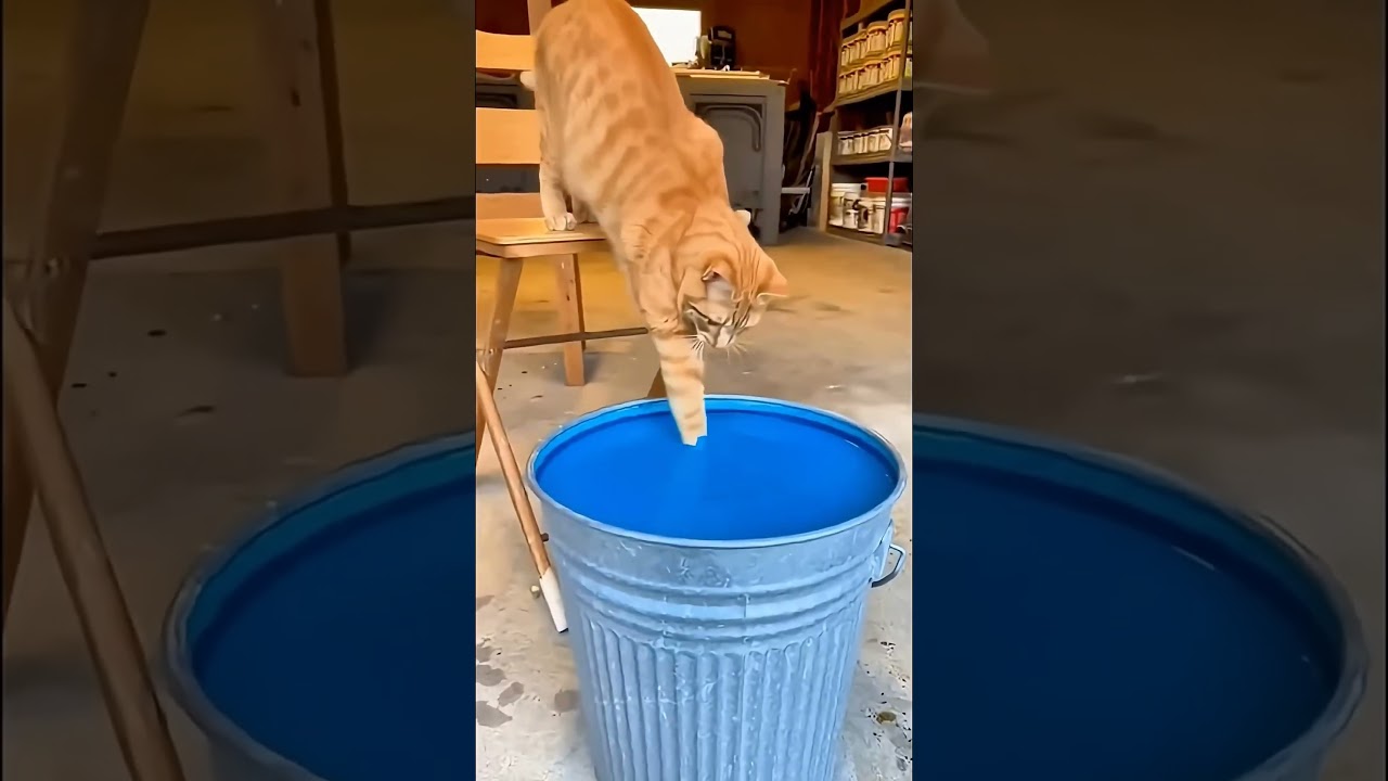 Он коснулся краски… Большая ошибка 😆