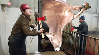 Modern High-Tech Goat Farming-Amazing Goat Farm-Modern Technology Livestock Equipment- Dairy Farming
