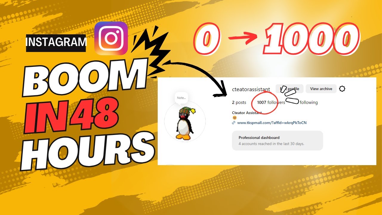 HOW TO GAIN 1,000 INSTAGRAM FOLLOWERS IN 24 HOURS (2025 Working ...