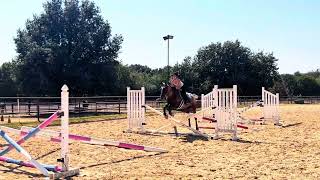 Casanova 2019 Green Jumper, Schooling in Gridwork up to 3’3”