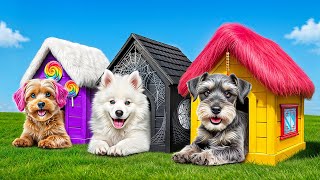 One Colored Dog House Challenge!