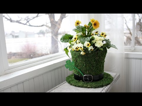 Video: St. Patrick's Day Flowers - Att odla lyckliga växter i trädgården