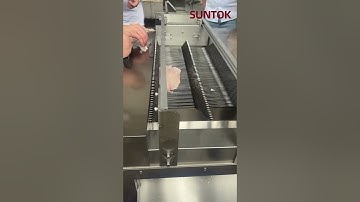 CNC Fish Slicer for Fish Processing Plant