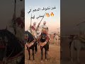 متنساش معاك اشتراك Tbourida التبوريدة اكسبلور الفروسية المغربية الخيل المغرب ترند 