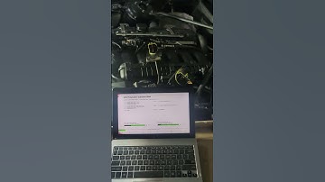 BMW DISA TEST with INPA