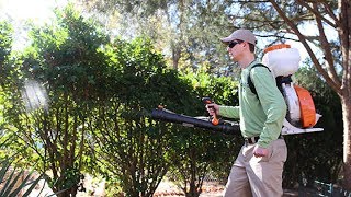 Pest Control Services In Humble Texas
