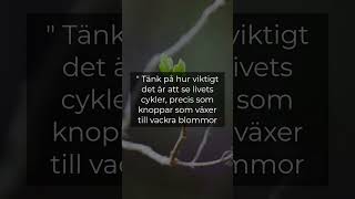 Famous Swedish Word of the Day #1733: knopp - Discover the beauty of buds! #swedishwordoftheday Wealth