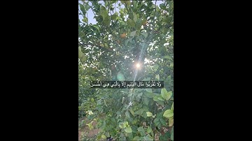 #سطوع #قناة_سطوع #تلاوة_خاشعة #القارئ يوسف العيدروس  #سورة_الإسراء ( ولا تقربوا مال اليتيم ..)