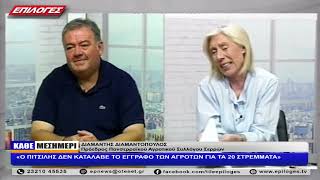ΔΙΑΜΑΝΤΗΣ ΔΙΑΜΑΝΤΟΠΟΥΛΟΣ: «ΕΠΙΣΚΕΦΘΗΚΑΜΕ  ΤΟ ΥΠΟΥΡΓΕΙΟ  - ΓΥΡΙΣΑΜΕ ΜΕ ΥΠΟΣΧΕΣΕΙΣ»