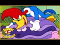 Woody Woodpecker Show | Country Fair Clam-ity | Full Episode | Cartoons For Children