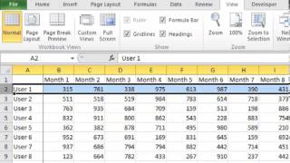 Excel 2010 Quick Tip: How to Freeze Panes