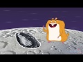 Fun Facts with Hamlet the Hamster Quiz