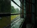 Rain and window seat....feeling..