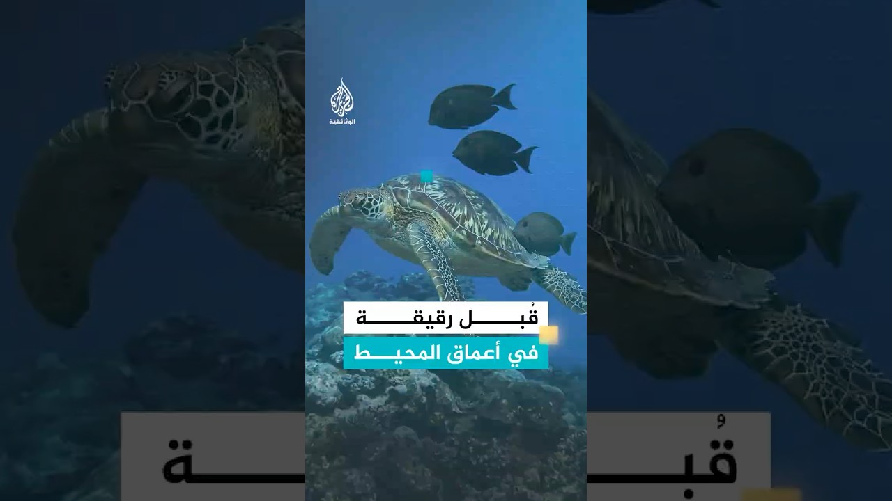 طريقة غريبة لتنظيف القشور الصدفية