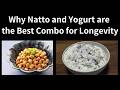 How I Make Soy Yogurt with Bifidobacteria for a Healthy Breakfast