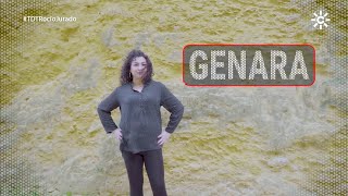 Vídeo de Presentación de Genara en Tierra de Talento