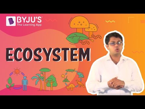 Ecosystem