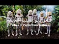 قبائل بابوا غينيا الجديدة Tribes Of Papua New Guinea قبائل بابوا غينيا الجديدة Tribes Of Papua New Guinea