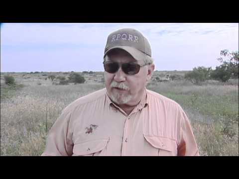 video to gif Quail Posts - Plant Succession - Texas Wildlife Association