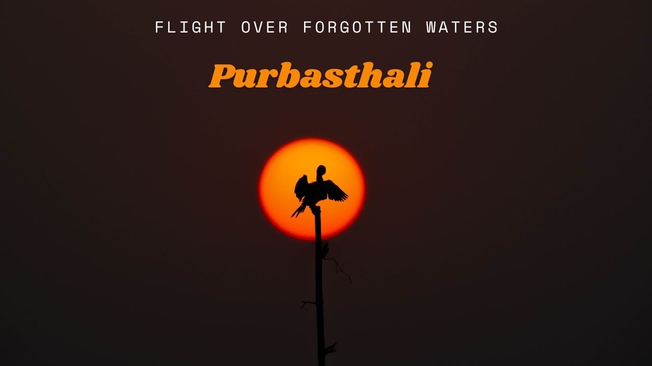 Полет над забытыми водами - Пурбастхали - рай для любителей наблюдения за птицами в Бенгалии.