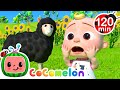 It S Baa Baa Black Sheep рџђ More Classic CoComelon Nursery Rhymes Baby Songs For Kids рџЋµ It S Baa Baa Black Sheep рџђ More Classic CoComelon Nursery Rhymes Baby Songs For Kids рџЋµ
