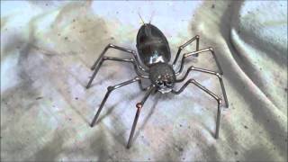 Welding Project - Steel Spiders