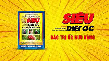 Sử dụng thuốc diệt ốc tiết kiệm, hiệu quả với APPLE 700WP (đặc trị ốc bưu vàng) | NISSI abc