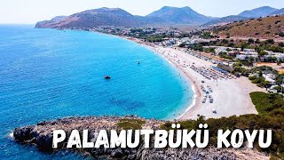 Palamutbükü Plajı Datça - Harika Datça Koyları ve Plajları - Datça Gezilecek Yerler - Datça Turkey