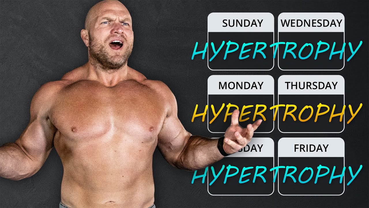 Best Workout Split To Build Muscle - YouTube