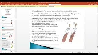 Lab 11-Bacterial Identification (Biochemical Tests: Part-II)