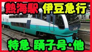 特急 スーパービュー 踊り子号 伊豆急行  Super view Odoriko Express