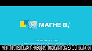 Магне B6