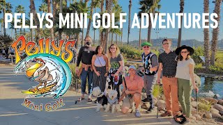 Pellys Mini Golf Adventures | Poor Man's Pelican
