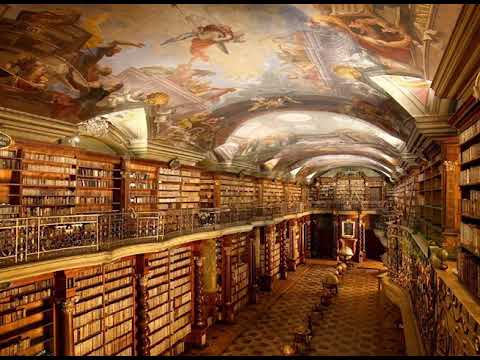 [ASMR / 백색소음 ] 메이플 스토리 엘리니아 마법도서관 / Maple Story Ellinia Magic library ...
