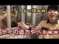 【潜入取材】天王寺動物園の裏側がすごすぎたｗ 前編